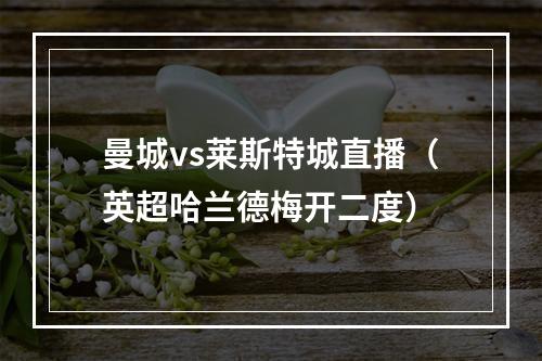 曼城vs莱斯特城直播（英超哈兰德梅开二度）
