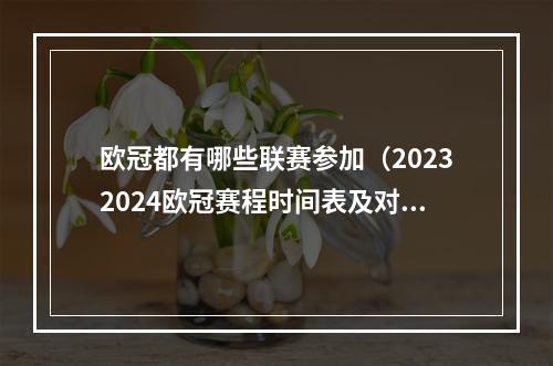 欧冠都有哪些联赛参加（20232024欧冠赛程时间表及对阵图最新一览）