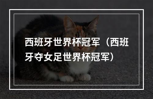西班牙世界杯冠军（西班牙夺女足世界杯冠军）