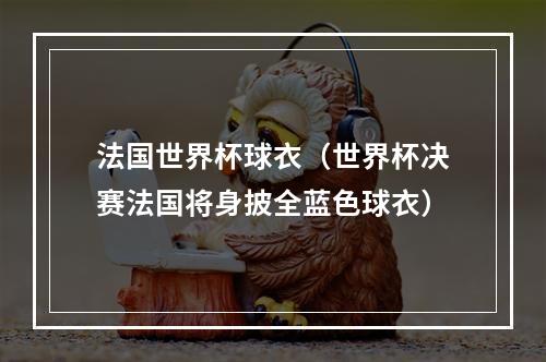 法国世界杯球衣（世界杯决赛法国将身披全蓝色球衣）