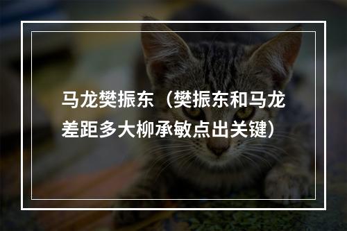 马龙樊振东（樊振东和马龙差距多大柳承敏点出关键）