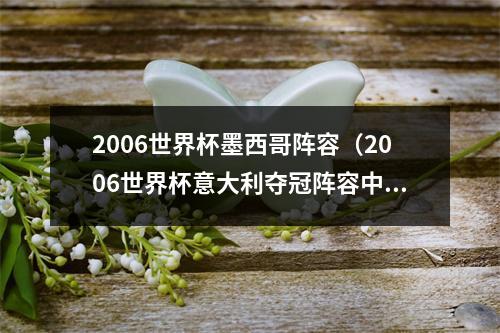 2006世界杯墨西哥阵容（2006世界杯意大利夺冠阵容中还剩7人未退役）