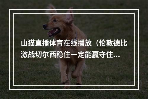 山猫直播体育在线播放（伦敦德比激战切尔西稳住一定能赢守住最后底线）