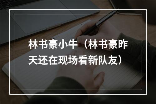 林书豪小牛（林书豪昨天还在现场看新队友）