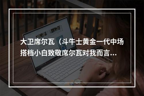 大卫席尔瓦（斗牛士黄金一代中场搭档小白致敬席尔瓦对我而言你独一无二）