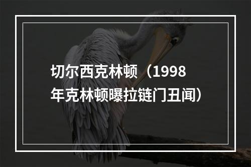 切尔西克林顿（1998年克林顿曝拉链门丑闻）