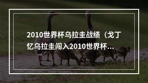 2010世界杯乌拉圭战绩（戈丁忆乌拉圭闯入2010世界杯那段艰难经历铸就后来的辉煌成就）