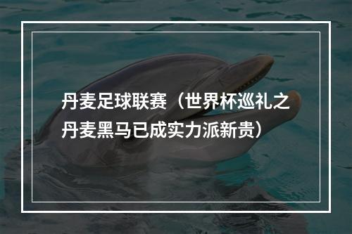 丹麦足球联赛（世界杯巡礼之丹麦黑马已成实力派新贵）