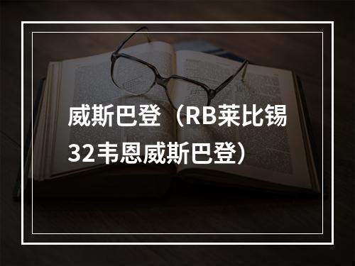 威斯巴登（RB莱比锡32韦恩威斯巴登）