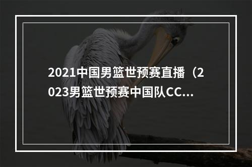 2021中国男篮世预赛直播（2023男篮世预赛中国队CCTV5直播时间）
