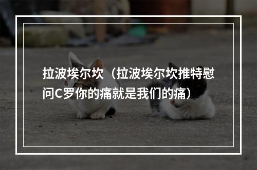 拉波埃尔坎（拉波埃尔坎推特慰问C罗你的痛就是我们的痛）