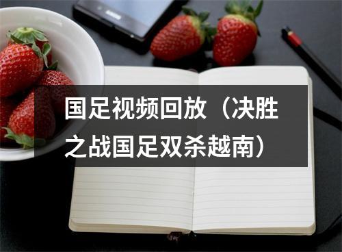 国足视频回放（决胜之战国足双杀越南）