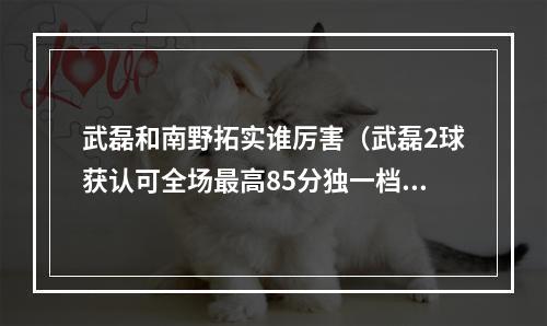 武磊和南野拓实谁厉害（武磊2球获认可全场最高85分独一档 球迷不用酸南野拓实了）