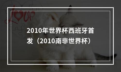 2010年世界杯西班牙首发（2010南非世界杯）
