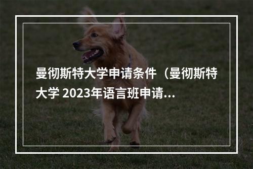 曼彻斯特大学申请条件（曼彻斯特大学 2023年语言班申请要求来啦）