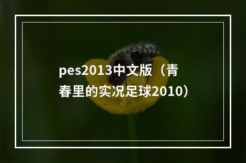 pes2013中文版（青春里的实况足球2010）