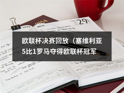 欧联杯决赛回放（塞维利亚5比1罗马夺得欧联杯冠军
