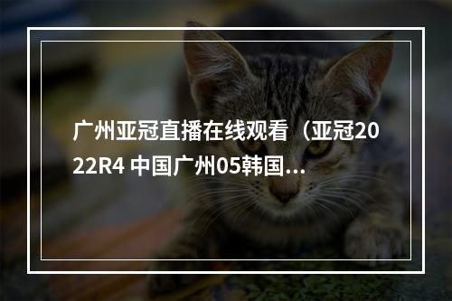 广州亚冠直播在线观看（亚冠2022R4 中国广州05韩国蔚山现代）