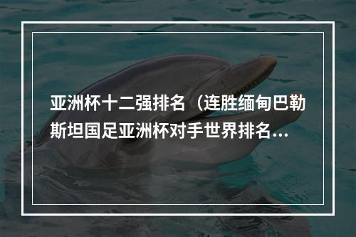 亚洲杯十二强排名（连胜缅甸巴勒斯坦国足亚洲杯对手世界排名一览）