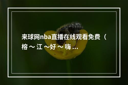 来球网nba直播在线观看免费（榕 ～ 江 ～好 ～ 嗨 ～ 哟 ～）