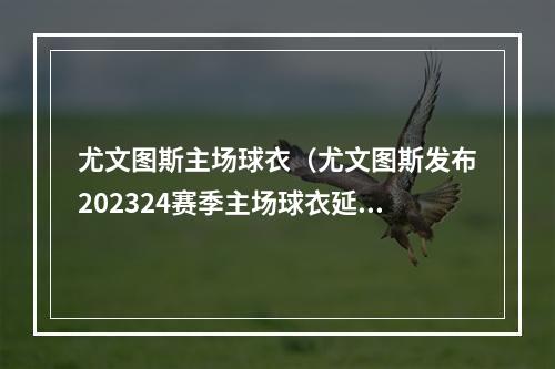 尤文图斯主场球衣（尤文图斯发布202324赛季主场球衣延续黑白条纹）