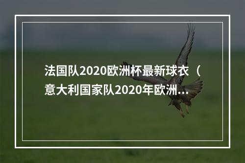 法国队2020欧洲杯最新球衣（意大利国家队2020年欧洲杯主场球衣实物曝光）