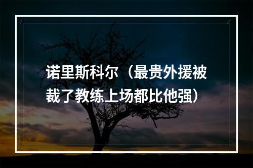 诺里斯科尔（最贵外援被裁了教练上场都比他强）