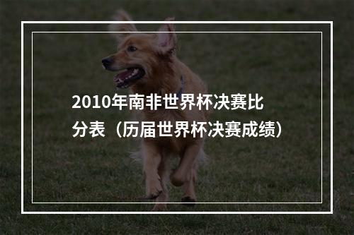 2010年南非世界杯决赛比分表（历届世界杯决赛成绩）