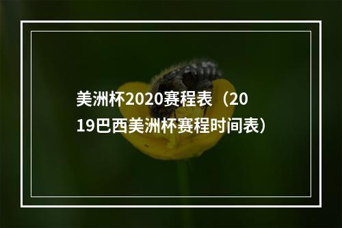 美洲杯2020赛程表（2019巴西美洲杯赛程时间表）