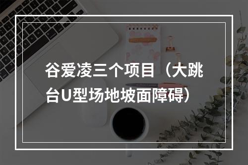 谷爱凌三个项目（大跳台U型场地坡面障碍）