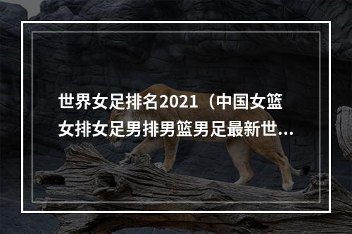 世界女足排名2021（中国女篮女排女足男排男篮男足最新世界排名 女篮第2女足14男足79）