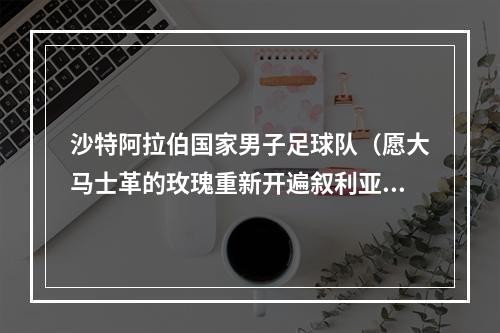 沙特阿拉伯国家男子足球队（愿大马士革的玫瑰重新开遍叙利亚中东地区足球国家队盘点）