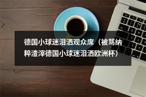 德国小球迷泪洒观众席（被骂纳粹渣滓德国小球迷泪洒欧洲杯）