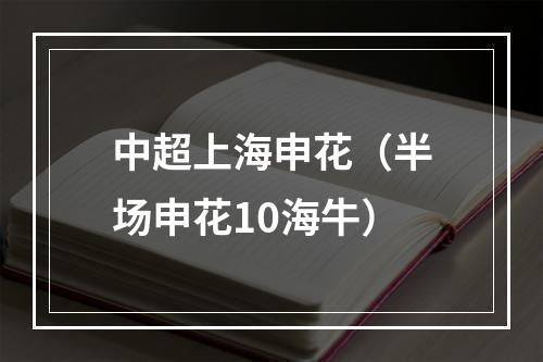 中超上海申花（半场申花10海牛）