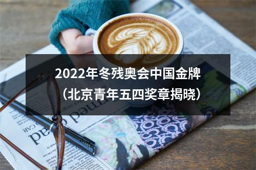 2022年冬残奥会中国金牌（北京青年五四奖章揭晓）