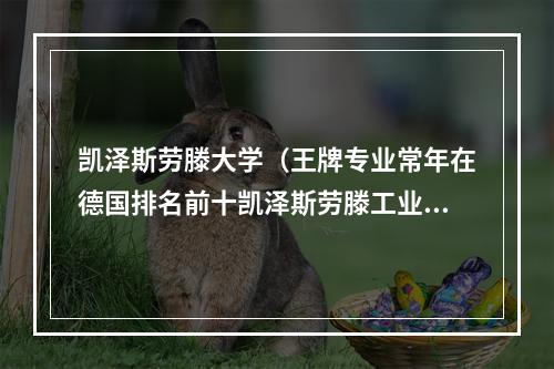 凯泽斯劳滕大学（王牌专业常年在德国排名前十凯泽斯劳滕工业大学英授项目盘点）
