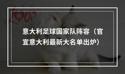 意大利足球国家队阵容（官宣意大利最新大名单出炉）