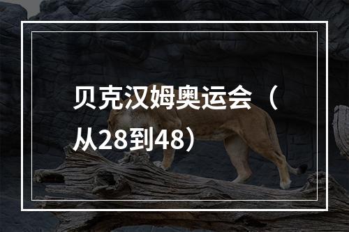 贝克汉姆奥运会（从28到48）