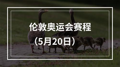 伦敦奥运会赛程（5月20日）
