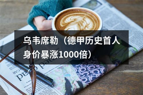 乌韦席勒（德甲历史首人身价暴涨1000倍）