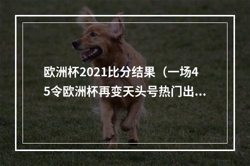 欧洲杯2021比分结果（一场45令欧洲杯再变天头号热门出炉）