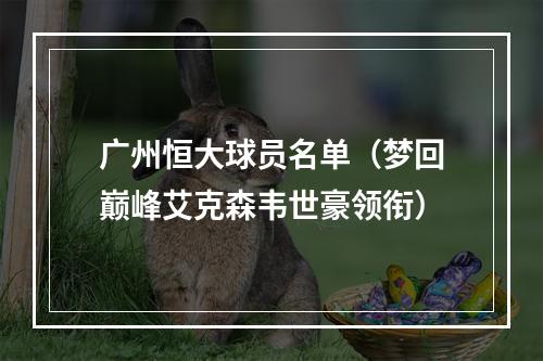 广州恒大球员名单（梦回巅峰艾克森韦世豪领衔）
