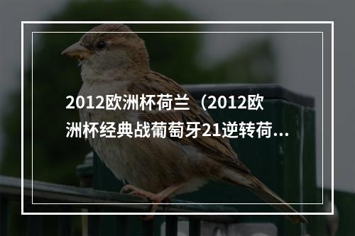 2012欧洲杯荷兰（2012欧洲杯经典战葡萄牙21逆转荷兰）