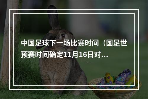 中国足球下一场比赛时间（国足世预赛时间确定11月16日对阵泰国）