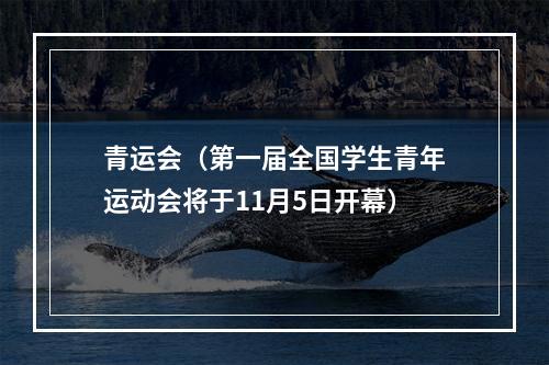 青运会（第一届全国学生青年运动会将于11月5日开幕）