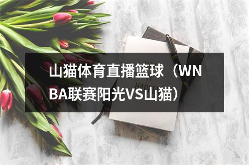 山猫体育直播篮球（WNBA联赛阳光VS山猫）