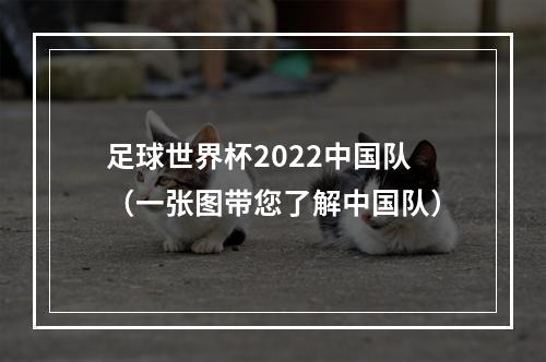 足球世界杯2022中国队（一张图带您了解中国队）