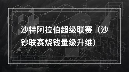 沙特阿拉伯超级联赛（沙钞联赛烧钱量级升维）