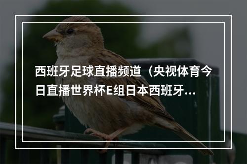西班牙足球直播频道（央视体育今日直播世界杯E组日本西班牙）