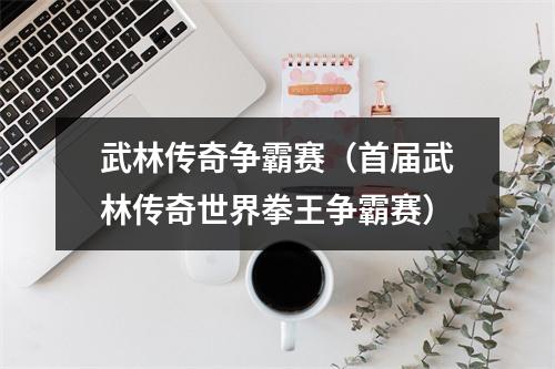 武林传奇争霸赛（首届武林传奇世界拳王争霸赛）